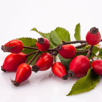 Fresh red rose hips with green leaves, natural botanical ingredient for organic skincare
