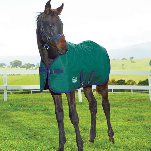 WEATHERBEETA 1200D FOAL STANDARD NECK MEDIUM II HUNTER/NAVY 36"