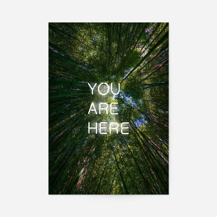 You Are Here neon text overlay on a low-angle forest canopy print on archival art paper.